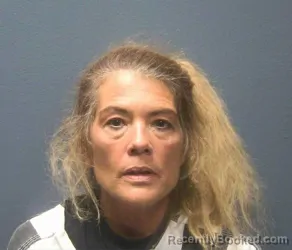 Mugshot of SHANNON KATHRYN GIBSON booked in Sevier County, Tennessee on May 6, 2026