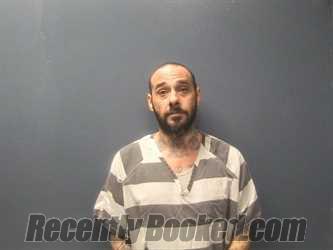 Booking photo from Sevier County, Tennessee