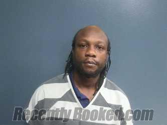 Booking photo from Sevier County, Tennessee