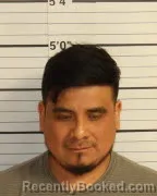 Booking photo from Shelby County, Tennessee