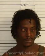 Mugshot of CHRISTOPHER E HOLLOWAY