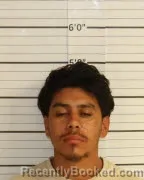 Mugshot of DOMINICK DILL