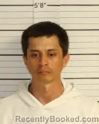 Mugshot of MAX JOHNSON