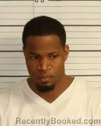 Mugshot of MICHAEL R STIGER