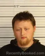 Mugshot of TYLER BEESINGER