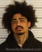 Mugshot of TERRANCE DAVIS