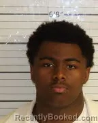 Mugshot of BRYANT SWING