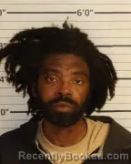 Mugshot of RASHEEM DONELL WARD