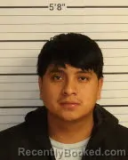 Mugshot of YOANDI SALES
