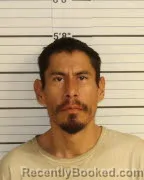 Mugshot of MERIE LYNCH