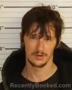 Mugshot of ALEX S NELSON