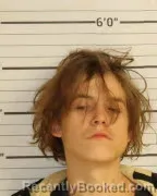 Mugshot of TROY RICHARDSON