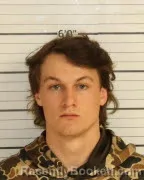 Mugshot of WILLIAM JOHNSON