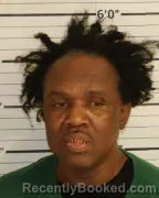 Mugshot of ROBERT E WILLIAMS