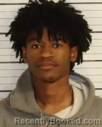 Mugshot of DARRYL J WILLIAMS