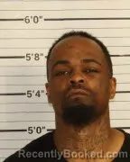 Mugshot of LESLIE HOLPE