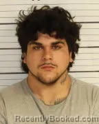 Mugshot of ZACHARY WELLS