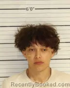 Mugshot of MIGUEL HERNANDEZ