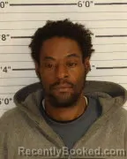 Mugshot of JAMES FARRIS