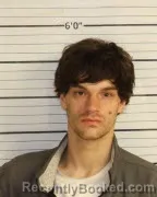 Mugshot of BRICK ALLEN WILLIAMS