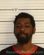 Mugshot of RANDY M BONNER