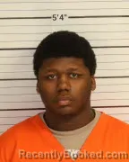 Mugshot of JERIMI FLEMING