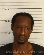 Mugshot of DAVID LANIER