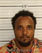 Mugshot of JONATHAN A REESE