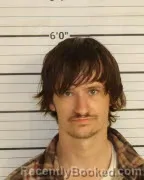 Mugshot of ALEX S NELSON
