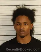 Mugshot of TERRICKE NEWSON