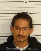 Mugshot of LEANDRE M FIELD