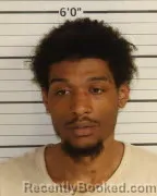 Mugshot of JAMES L CAMERON