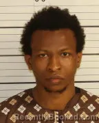 Mugshot of ABDOULAYE BARRY booked in Shelby County, Tennessee on March 20, 2026