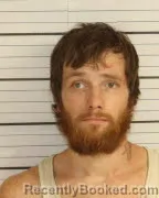 Mugshot of JOHNNY ALAN MICHAELS booked in Shelby County, Tennessee on March 22, 2026