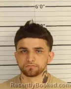 Mugshot of FRANSISCO ARELLANO booked in Shelby County, Tennessee on March 22, 2026