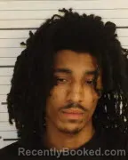 Mugshot of DEVONTE L GULLAGE booked in Shelby County, Tennessee on March 29, 2026