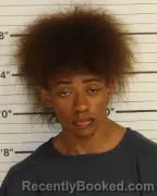 Mugshot of TERRELL RICHMOND booked in Shelby County, Tennessee on April 2, 2026