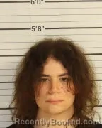 Mugshot of DANIEL FOWINKLE booked in Shelby County, Tennessee on April 2, 2026