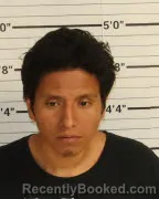 Mugshot of FELIX EMILIANO booked in Shelby County, Tennessee on April 5, 2026