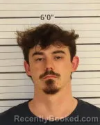 Mugshot of NATHAN BOLOGNA booked in Shelby County, Tennessee on April 26, 2026