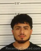 Mugshot of JUAN JESUS LUIS booked in Shelby County, Tennessee on May 24, 2026