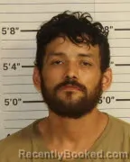 Mugshot of BALDEMAR B ESTRADA booked in Shelby County, Tennessee on July 6, 2026