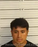 Mugshot of HAMILTON DANILO MORAL RAMIREZ booked in Shelby County, Tennessee on July 9, 2026