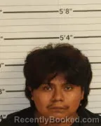 Mugshot of Emerzon Mendez Gregorio booked in Shelby County, Tennessee on August 27, 2026