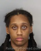 Mugshot of DESTINY L HORNE