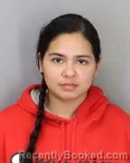 Mugshot of ISIS VARGAS CASTILLO