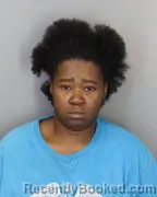 Mugshot of DRUCILA L ISABELL