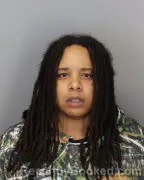 Mugshot of BRYNICA BRUCE