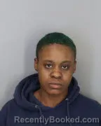 Mugshot of TIERRA D MITCHELL