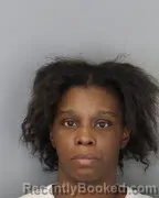 Mugshot of ERICA RENEE STEVISON